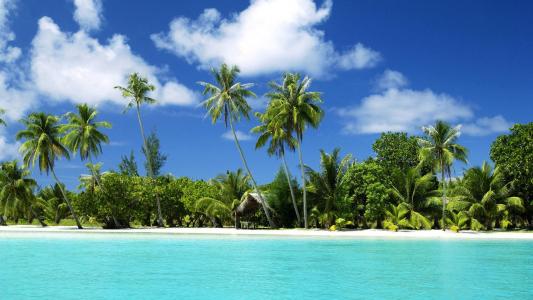 棕榈树，沙滩。更多，热带岛屿，海洋，水，沙子