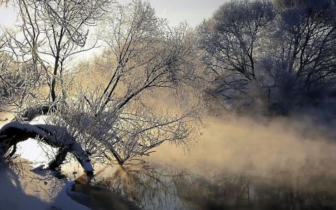 自然，雾，河，树，冰，冷，霜，蒸发，黎明，早晨，霜，4k