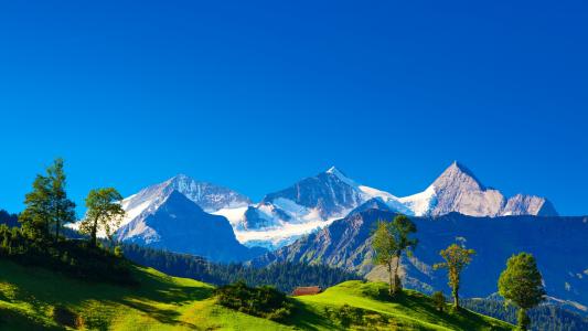 阿尔卑斯山，瑞士，绿化，瑞士