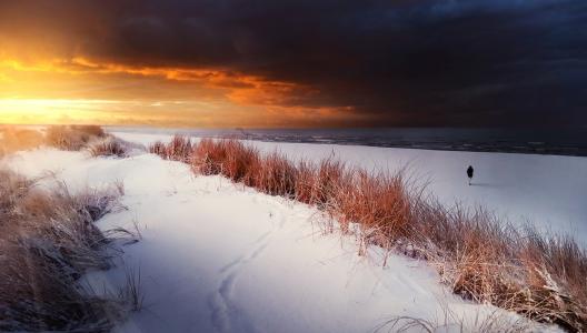 黑暗的天空，海，雪，芦苇，孤独的人，冬天，Mindaugas Zarys