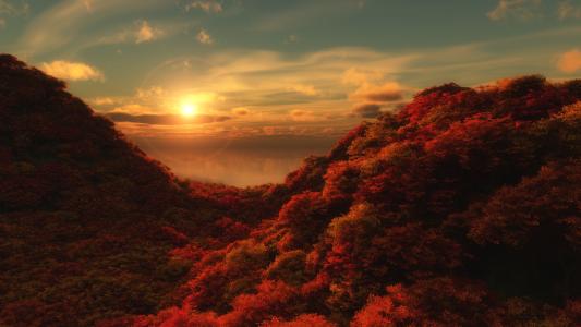 风景，秋天，山，丘陵，斜坡，峡谷，空心，树冠，绯红色，深红色，森林，海，水，反射，静止和光滑，地平线，太阳，光环，天蓝色，羽毛，分层