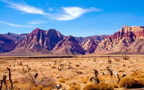 山脉，岩石，内华达州，沙漠，红色的岩石峡谷
