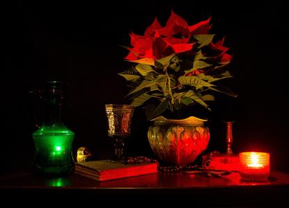 蜡烛，锅，植物，书，花瓶，花，忧郁