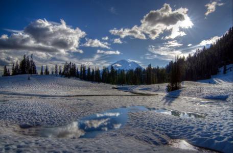 Tipsoo湖，雷尼尔山，华盛顿国家公园，树木，冰冻湖，雪，山