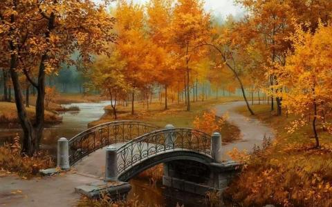 秋天，树木，桥梁