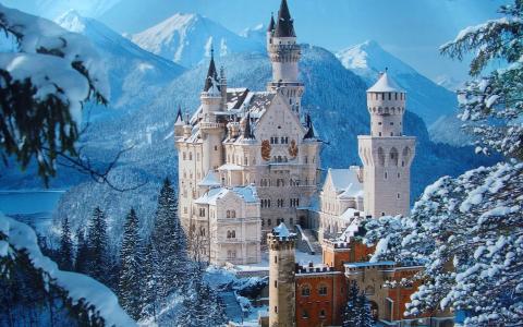 冬天，雪，树，城堡，巴伐利亚，天空