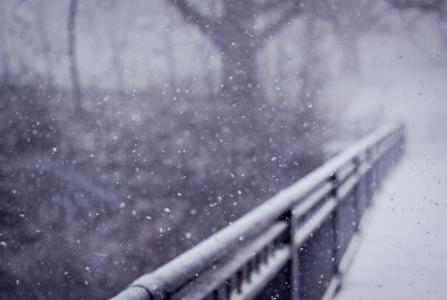 雪，性质，冬季，栏杆