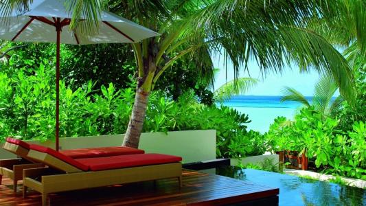 休息，日光浴浴床，夏天，度假村，棕榈树