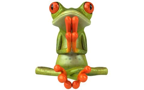青蛙，橙色的眼睛，爪子