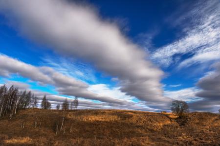桦木，春天，天空，云，照片，茱莉亚Lapteva