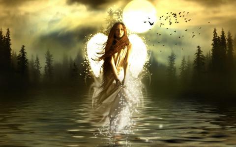 白色的天使，湖，晚上，月亮，森林