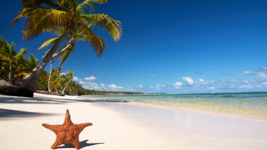 海滩，明星，热带地区
