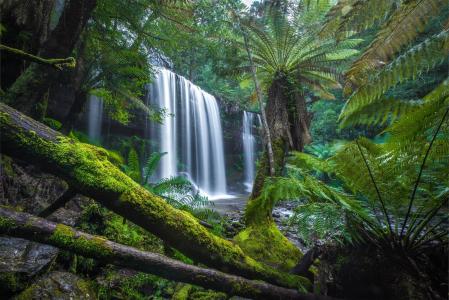 自然，瀑布，瀑布，塔斯马尼亚岛