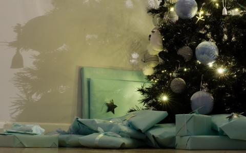 礼物，圣诞树，假日