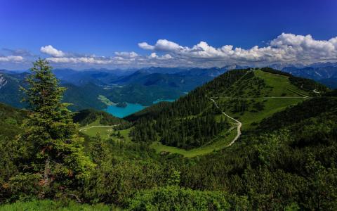 巴伐利亚阿尔卑斯山，德国，巴伐利亚阿尔卑斯山，德国，湖，森林，mountains.jpg