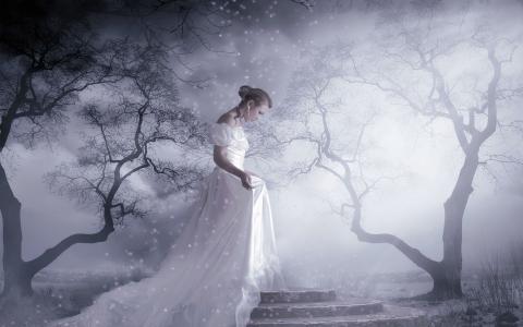 白色的裙子，梯子，树枝