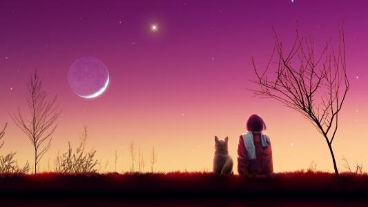 明星，猫，日落，月亮，晚上，女孩，艺术，景观