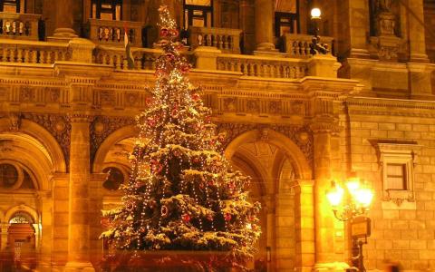 圣诞树，列，大厅，假期，圣诞节，花环，饰品