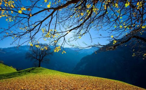 自然，山，秋天，房子，美丽