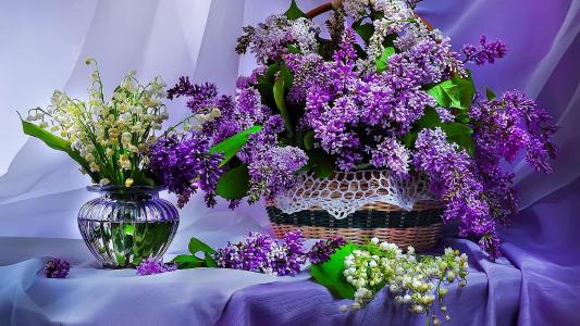 鲜花，丁香，花束，美丽，花瓶，篮子，春天，表，丁香，蓝色，百合花