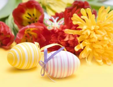 假日，鲜花，鸡蛋，框架，复活节