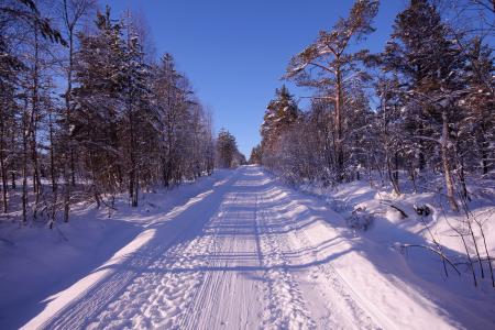路，森林，雪，冬天，snowdrifts