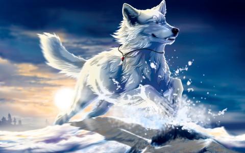 日落，犬，雪，白，艺术，跳，自由，狼，狼