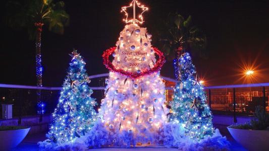 手掌，灯，新的一年，圣诞树，圣诞快乐