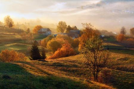秋天，村庄，郊区，阴霾，早晨