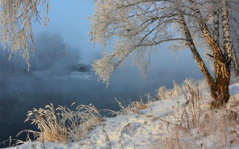 雾，河，桦木，性质，雪，冬天，景观