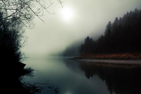 雾，自然，河，森林