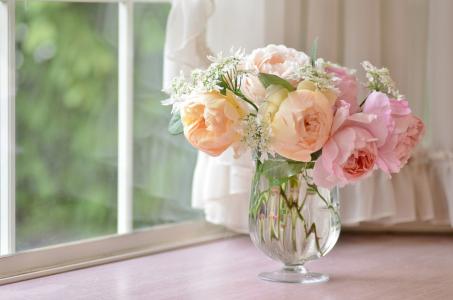 窗台，窗帘，花瓶，鲜花，玫瑰