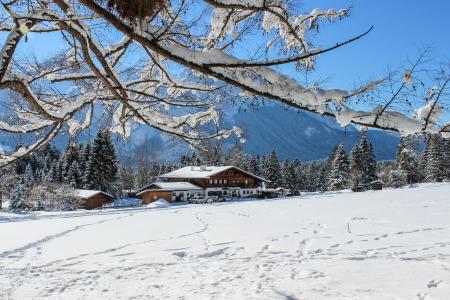 山，房子，雪，分支机构，奥地利