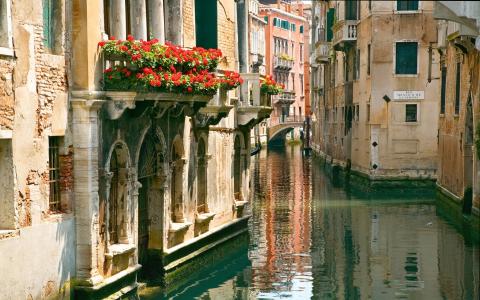 水，街道，鲜花，阳台，意大利