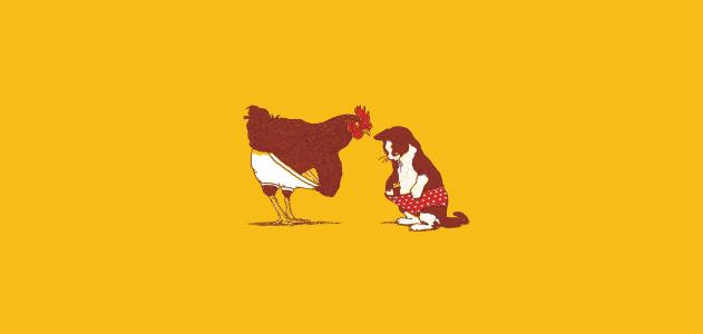 鸡，猫，内裤，黄色，背景