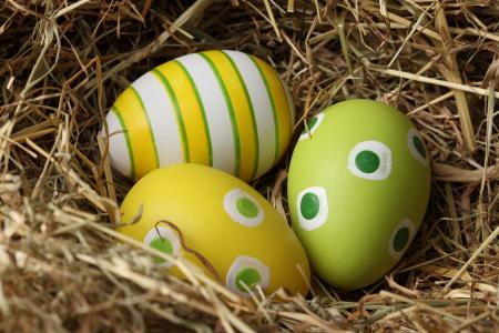 巢，鸡蛋，复活节，复活节，模式