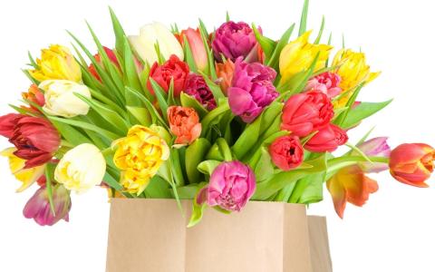 бумажный пакет, красочные тюльпаны, натсроение