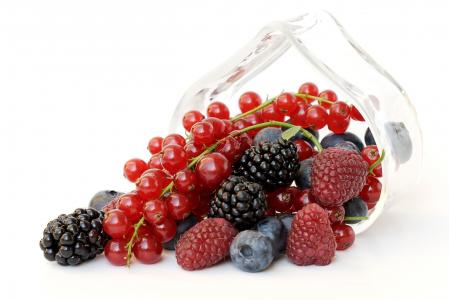 覆盆子，黑莓，蓝莓，红醋栗，浆果
