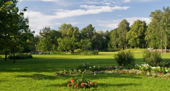 Luzhauka，公园，景观，美容，鲜花
