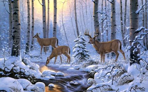 鹿，雪，河，光，森林