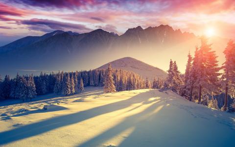自然，山，冬天，森林，光，太阳，美丽