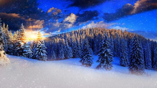 冬天，美丽，森林，天空，自然，雪，日落