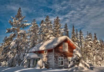 冬天，森林，房子，雪，美丽