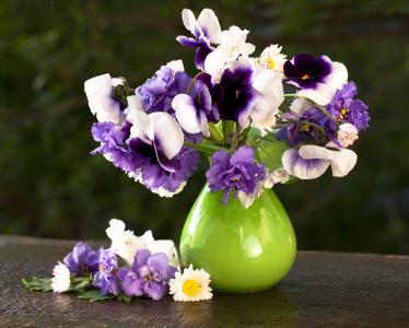 花瓶，鲜花，紫罗兰