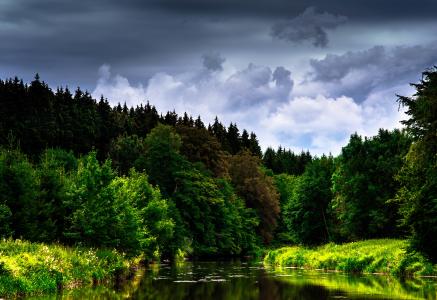 自然，河流，森林，美丽，阴云密布