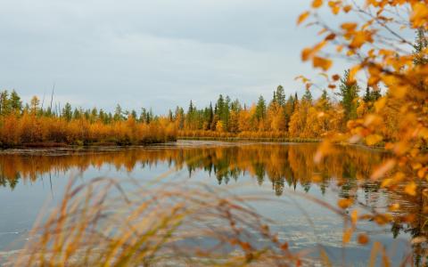 性质，秋季，河，湖，树木