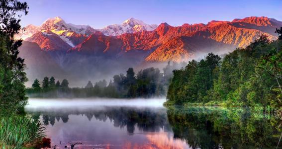 自然，早晨，山，河，森林，雾，钓鱼，美丽，新西兰，新西兰