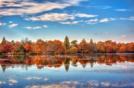 自然，公园，湖，叶子，冰，秋天，美丽