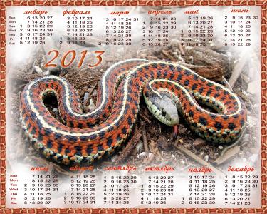 蛇年，2013年的日历