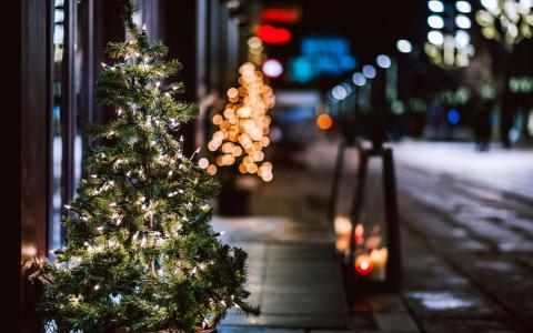 街道，新的一年，城市，圣诞树